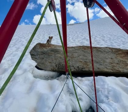 La estructura construida por los rescatistas permitió sacar a Jan de forma segura