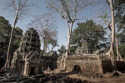 La estructura del templo Ta Prohm intervenida por las poderosas raíces de los árboles.