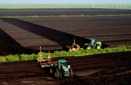 La estructura empresarial del clan se organiza bajo Fanjul Corp., que controla una red de compañías especializadas