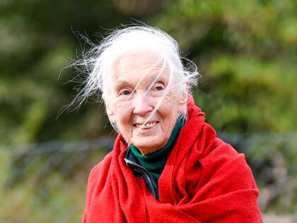 La Etóloga y conservacionista Jane Goodall en la Fundación Temaiken