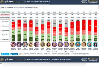 La evaluación de la gestión de Milei, sus medidas y la imagen de los principales dirigentes políticos, según un estudio de Opinaia