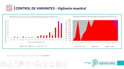 La evolución de la variante ómicron en la Provincia