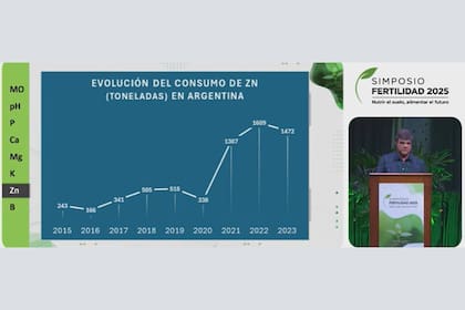 La evolución del consumo de zin en toneladas en la Argentina