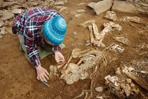 La excavación en Escocia
