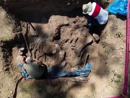 La excavación en el yacimiento paleontológico de Junín se inició en 2019