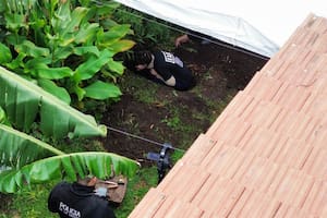 Una tortuga invernando, el único hallazgo “nuevo” en el jardín donde enterraron a Diego Fernández Lima