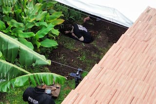 Una tortuga, el único hallazgo “nuevo” en el jardín donde enterraron a Diego Fernández Lima