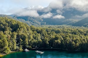 El tesoro natural con 2000 años de antigüedad que se esconde en el Parque Nacional Los Alerces