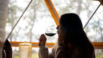 La excursión Lagos Off Road también incluye la posibilidad de disfrutar de un asado en un entorno natural único.