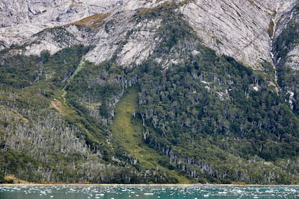 La exención de tarifas en los parques estatales no incluye servicios como campamentos o reservas, lo que permite mantener ingresos operativos esenciales mientras se incentiva la visita