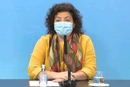 La exministra de Salud Carla Vizzotti