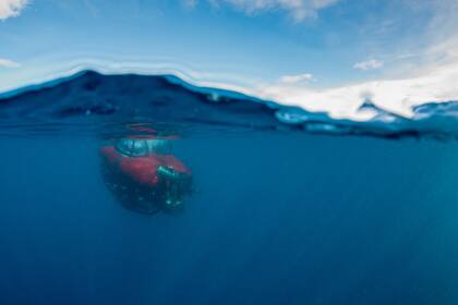 La expedición de Greenpeace hacia el Oceáno Antártico, con el objetivo de presionar para la creación de un santuario para proteger sus aguas de la industria pesquera, que está depredando la población de krill, el pequeño crustáceo que sirve de alimento a ballenas y pingüinos. Sin él, estas especies 