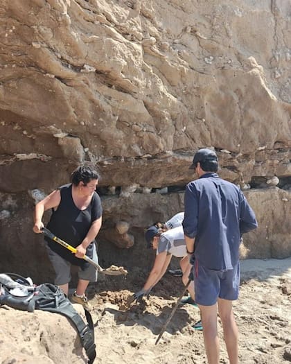 La expedición para rescatar el fémur del perezoso gigante se realizó el sábado 28 de febrero