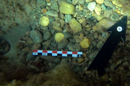 La expedición resulto con el hallazgo de 53 monedas del Imperio Romano