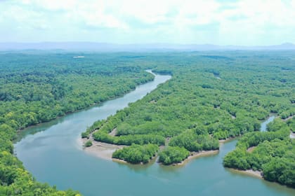 La expedición se desarrolló en torno al río Mississippi