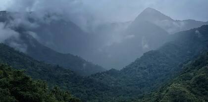 La expedición se llevó a cabo en las Montañas Cíclopes de Nueva Guinea