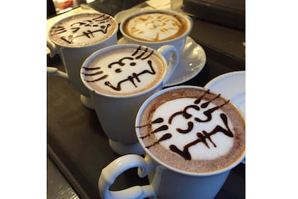 La experiencia incluye un café con leche y algo dulce para desayunos o meriendas