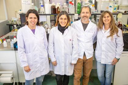 La experta contó que a lo largo de 14 años trabajó con un equipo de alrededor de 30 personas