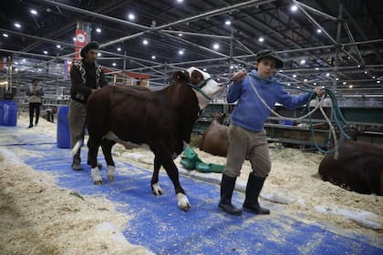 La Expo Rural de Palermo está abierta al público general