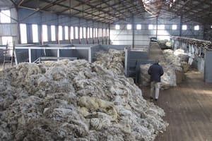 En la Patagonia, los productores ovinos apoyan la desregulación de las exportaciones