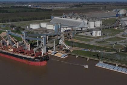 La exportación y la industria llevan adquiridas 19,3 millones de toneladas