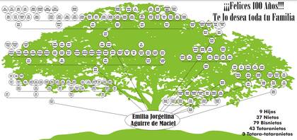 La extensa familia de Emilia, plasmada en un árbol genealógico