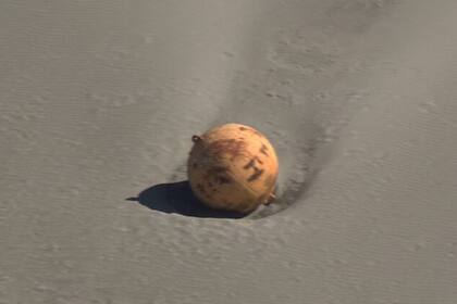 La extraña bola de un metro y medio de diámetro apareció este martes en una playa de la ciudad japonesa de Hamamatsu