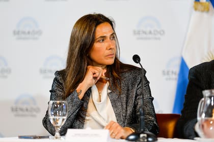 La exvicepresidenta de la UIF dijo que hay “hechos de corrupción” en el Gobierno y cuestionó la defensa oficial - Image 1