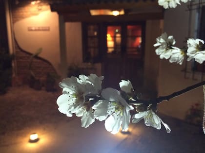 La fachada de la antigua casa en la esquina de Marcelo T. de Alvear y 9 de Julio en la que se ubica el restaurante El Almendro.