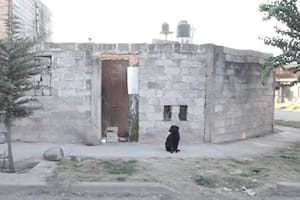 Video: así es la “casa del horror”, el lugar donde vivía el presunto asesino serial de Jujuy