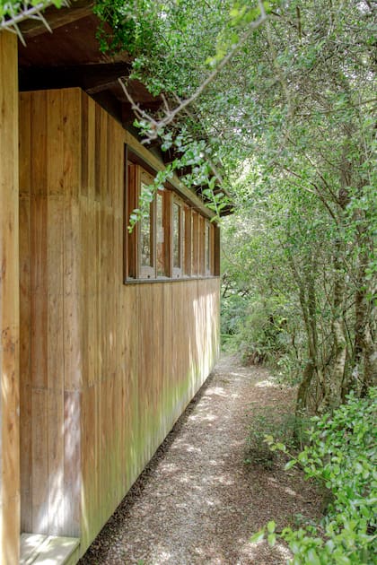 La fachada del anexo. “El respeto por el entorno fue absoluto: queríamos conservar el microclima de frescura y sombras que produce la combinación de suelos arenosos, vegetación nativa, brisa de mar, y visitas de aves y pequeños animales”.