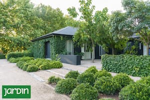 Un diseño que revela cómo la vegetación puede guiar, suavizar y redefinir la arquitectura