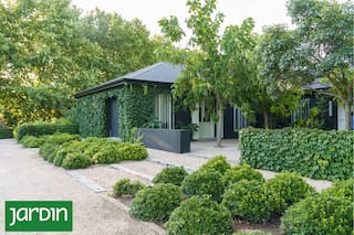 Un diseño que revela cómo la vegetación puede guiar, suavizar y redefinir la arquitectura