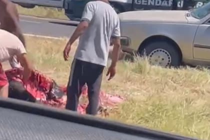 La faena la hicieron en la ruta