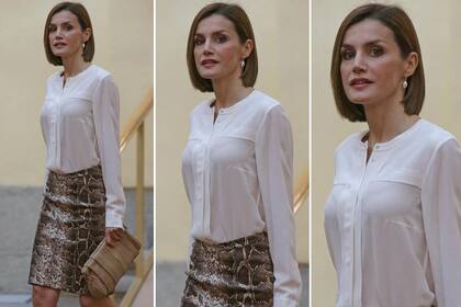 La falda de reptil era de Mango y la usó en varias oportunidades