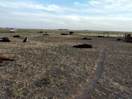 La falta de agua se agravó con las altas temperaturas