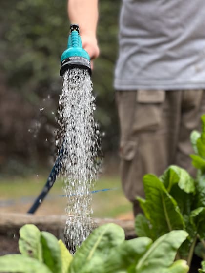 La falta de conocimiento sobre las necesidades específicas de cada especie es uno de los problemas más habituales