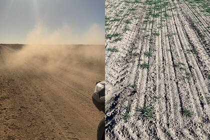 La falta de lluvias afecta a la región