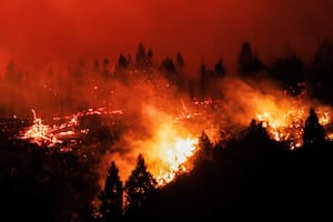 Fuego en la Patagonia: qué se sabe del avance de los incendios y qué dice el pronóstico para esta semana en el sur