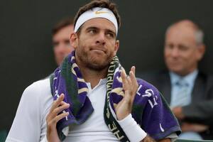 Wimbledon: Del Potro, que ganó dos sets, continúa el partido ante Simon