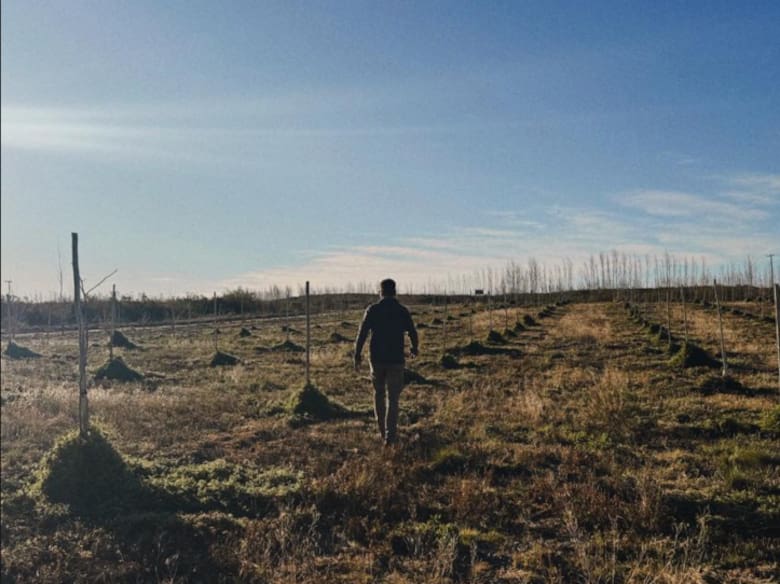 Apostaron a un cultivo no tradicional y hoy construyen un nuevo negocio exportador en La Pampa