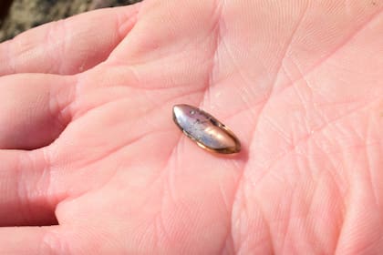 La familia aún no conoce el valor del diamante que encontraron