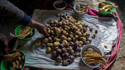 La familia Ávila prepara su almuerzo de patatas y pescado en el piso de su casa en Coata, un pequeño pueblo a orillas del lago Titicaca, en la región de Puno, Perú