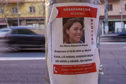 La familia de Ana María Knezevich Henao la busca desde principios de febrero