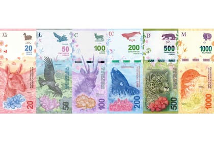 La familia de animales de los billetes