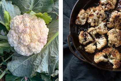 La familia de las crucíferas funciona como un protector natural para el organismo, está formada por el brócoli, la coliflor, repollo, rúcula, coliflor y rabanitos