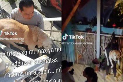 La familia de Max se encargó de ayudarlo para mejorar su calidad de vida (Foto: TikTok@frambuesamedina)