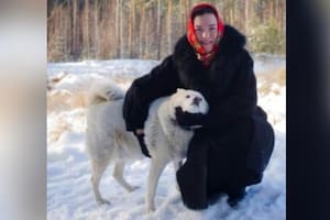 Abandonaron a su perro por la guerra en Ucrania y cuando volvieron los estaba esperando