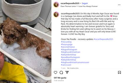 La familia le hizo una cuenta de Instagram para seguir su evolución