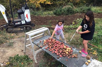 La familia Minetti cosecha su propia siembra.